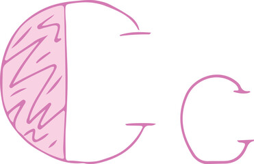 Fototapete - capital letter C and lowercase letter c hand drawn with curved purple lines with light pink fill