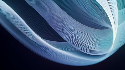 Poster - A long, curvy line of color. The line is white and purple. It is on a black background