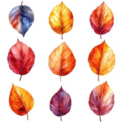Poster - Vibrant Autumn Leaves in Watercolor on White Background