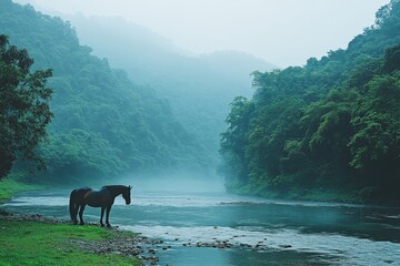Poster - Horse standing by the river surrounded by misty mountains in a serene natural setting