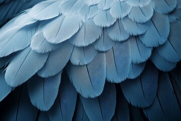 Aufkleber - Blue feathers exhibit intricate patterns and textures, showcasing nature's artistry in avian plumage close-up