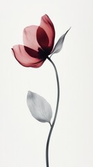Poster - A striking flower stands tall against a soft background, each petal revealing shades of pink and red. Its slender stem holds delicate, muted green leaves that add to the graceful composition