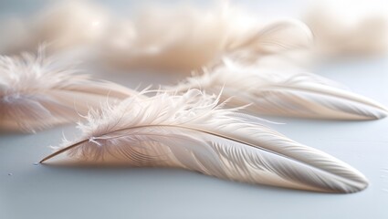 Poster - soft white feathers scattered on a light surface create a serene and delicate atmosphere perfect for
