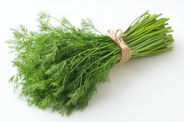 Poster - Fresh dill bundle ready for culinary use, gathered from local herb garden during sunny afternoon