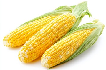 Poster - Freshly harvested corn cobs arranged together showcasing bright yellow kernels and green husks