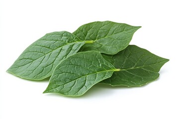 Poster - Fresh green leaves displayed on a clean surface highlighting their texture and color