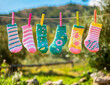 ©  TOFEL - Colorful socks hanging on a clothesline outdoors