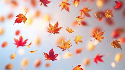 Wall Mural - colorful autumn leaves drifting gracefully in the sunlight against a soft background