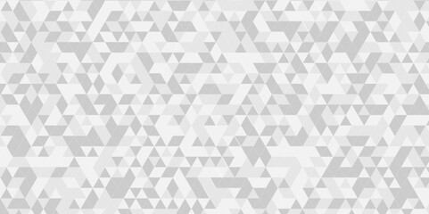 Poster - vector gray polygon mosaic triangle overlap texture background. white and gray overlapping cube squa