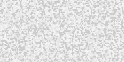 Poster - vector gray polygon mosaic triangle overlap texture background. white and gray overlapping cube squa