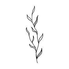 Poster - hand drawn leaves