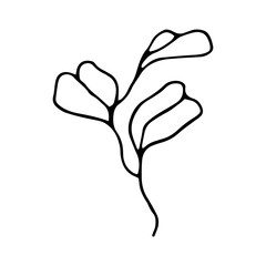 Poster - Leaf hand drawn