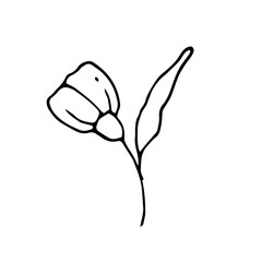 Poster - hand drawn flower