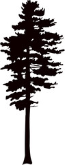 Wall Mural - wood, pine silhouette vector on a white background