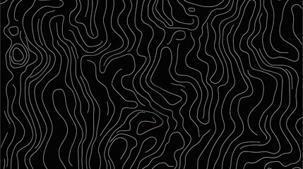 Poster - Topographic contour lines forming sinuous, undulating pattern against dark backdrop, ideal for graphic design and digital backgrounds