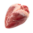 © Photo Find - Raw beef heart isolated on transparent background