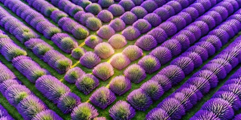 Poster - soft lavender geometric pattern: tranquil & stylish aerial background