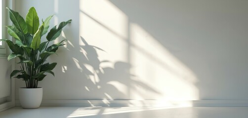 Poster - Minimalist interior scene with leaf shadow on bright white wall, floor. Sunlight creates soft shadows. Smooth surface texture brings depth. Modern design, abstract background, light space for