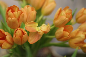 Poster - A bouquet of bright orange tulips arranged in a glass vase.
