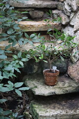 Poster - A ceramic brown vase sits atop a rugged stone wall, perfect for decorating any room or garden.