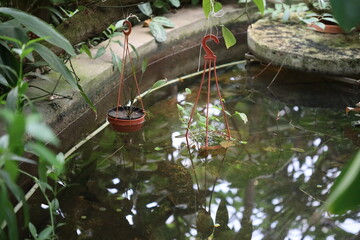 Poster - A small pond surrounded by plants and vegetation.