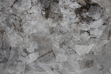 Poster - A close-up shot of a piece of ice found on the ground.
