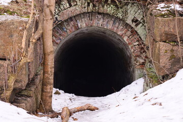 Poster - A tunnel in a snowy forest with snow-covered trees and branches.