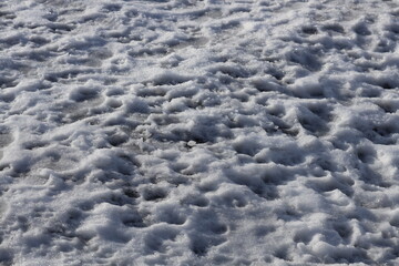 Poster - A close-up shot of snowy ground, perfect for winter-themed designs.