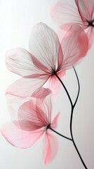 Aufkleber - Translucent flowers with soft pink hues bloom gracefully, softly enhancing the ambiance with their delicate structure and serene beauty against a light backdrop, evoking tranquility
