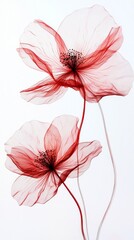 Poster - Two exquisite red flowers, delicately crafted with translucent petals, gracefully arch towards each other against a pale backdrop, embodying elegance and simplicity in nature's beauty
