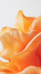 Poster - Delicate orange petals twist and turn gracefully, illuminated by soft, ambient light. This exquisite display of nature's artistry creates a warm and inviting atmosphere, enchanting the senses