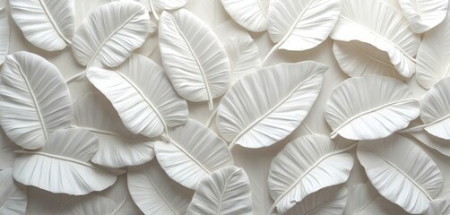Poster - Banana leaf relief pattern seamless texture. White tropical leaves floral design. 3D abstract geometric minimal modern stylish art for graphic print fabric wallpaper surface. Elegant eco decor