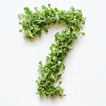 Number 7 made of fresh arugula leaves isolated on white background