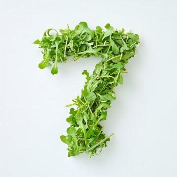 Number 7 made of fresh arugula leaves isolated on white background