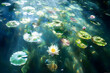 © ramadhan - Sunlit Underwater Pond with White and Pink Water Lilies