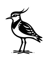  Northern Lapwing Standing Profile View with Detailed Black and White Silhouette Line Art Drawing