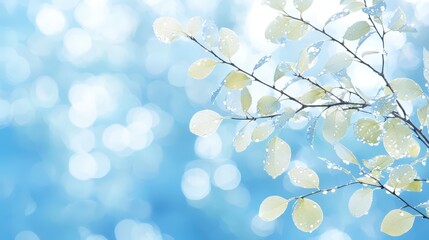  Glistening water droplets on lush green leaves, a breathtaking closeup of nature's beauty after the rain