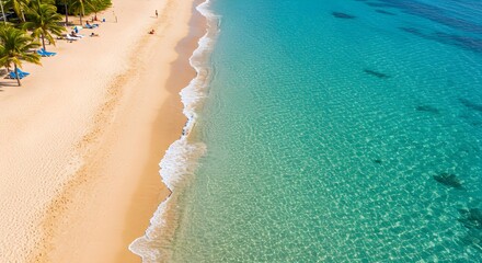  Aerial view of tropical beach with golden sand and turquoise water. Summer vacation concept. Exotic island paradise for travel and relaxation. Ocean coastline landscape.