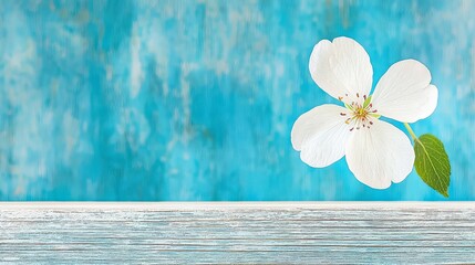 Poster - Floral Serenity: A delicate white flower with vibrant green leaf rests atop a weathered wooden surface against an artsy turquoise background.
