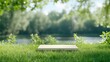 © BROPRADANA - Blank product display in a lush green park setting