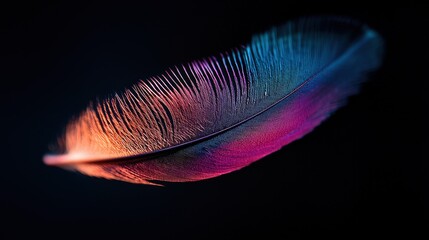 Fototapete - Soft purple and blue feather with a silky texture, glowing under soft natural light, highlighting its details.