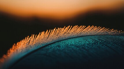 Poster - Soft, shimmery teal feather with intricate barbs, bathed in diffused golden sunlight.