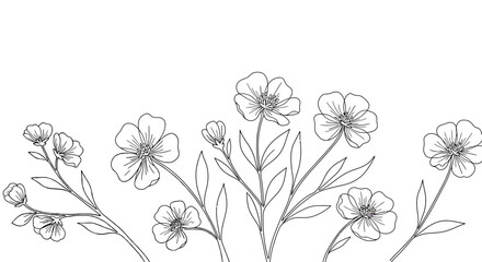 Poster - Floral design featuring delicate flowers in a minimal style vector illustration
