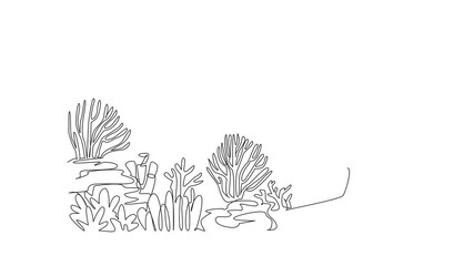Poster - Animated self drawing of continuous one line drawing colorful coral reefs and variety of anemones and corals. Protect coastline from erosion. Ecosystem. World Aquatic Animal Day. Full length animation
