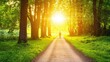 © pakbar - Person walking on a sunlit path through a lush green forest.