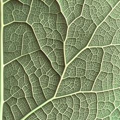 Algorithmic leaf detail. AI-generated botanical texture, ultra-close-up.