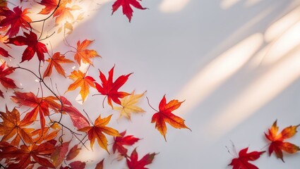 Wall Mural - autumn leaves in vibrant colors scattered on white surface with soft sunlight casting shadows