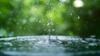 © HISTOCK - Crystal clear water drops splashing on water surface with green natural background