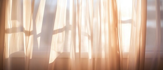 Poster - A domestic cat sitting in front of a curtain with a simple background