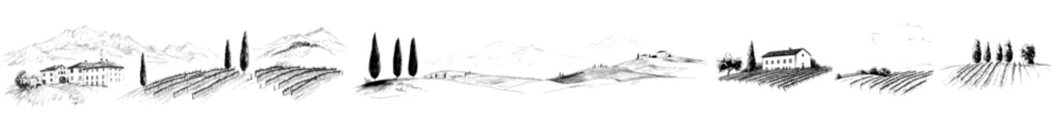 Poster - Vineyard in Italy is famous for cultivating grapes used in winemaking shown in an illustration that has an engraving drawing style of a hill and bush in a vintage modern stroke